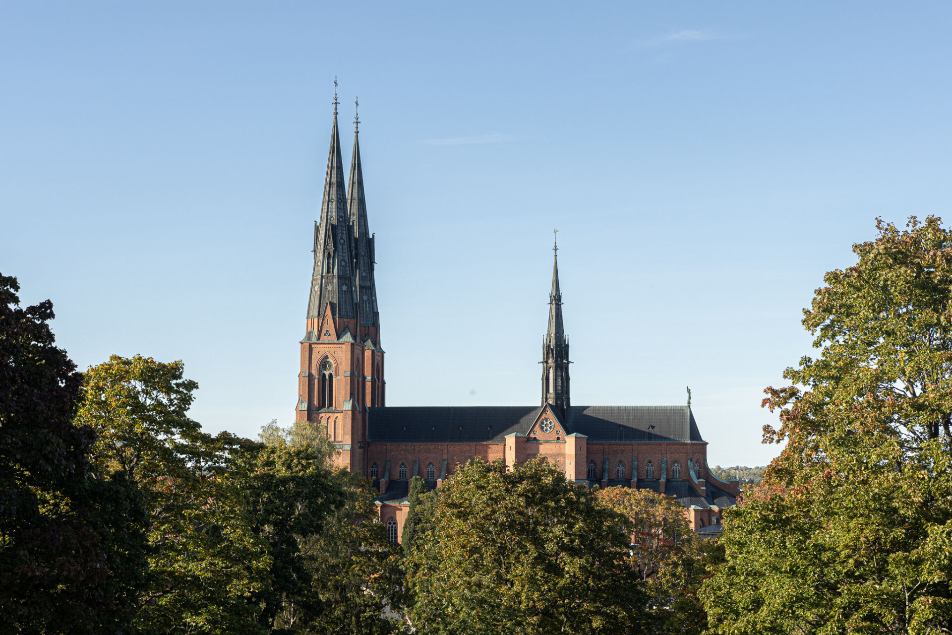 Domkyrkan Uppsala-1