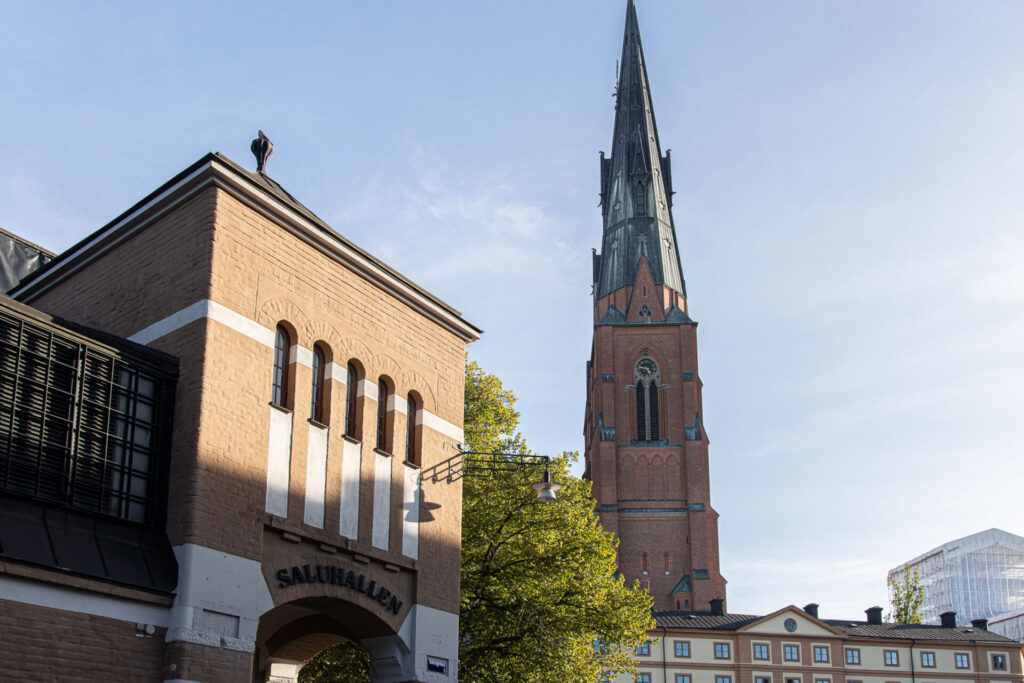 Domkyrkan Uppsala 3